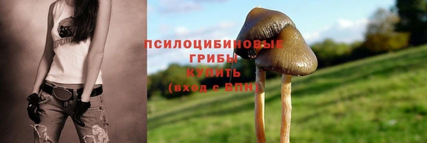 MESCALINE Балахна