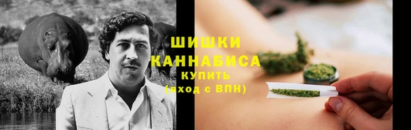 ПСИЛОЦИБИНОВЫЕ ГРИБЫ Новозыбков
